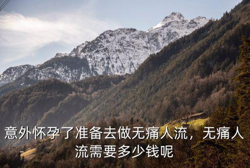 合肥醫(yī)院無痛人流大概多少錢,無痛人流需要多少錢呢
