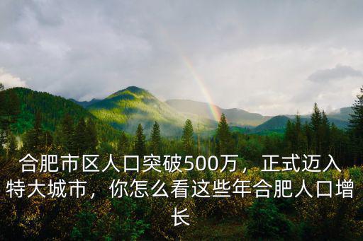 合肥多少萬人口2018,合肥每年能增加多少人口