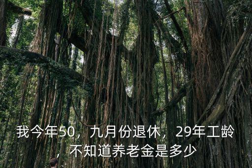 我今年50，九月份退休，29年工齡，不知道養(yǎng)老金是多少