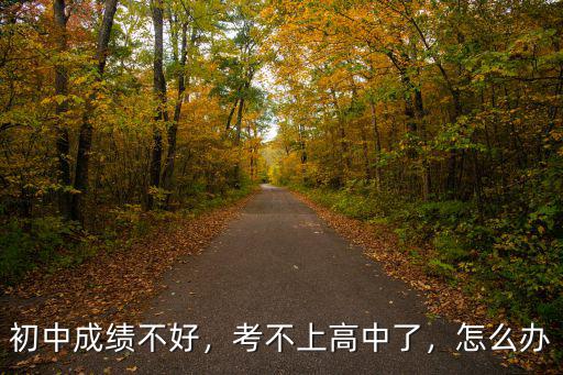 在咸寧初中考不上高中怎么辦,初三如果考不上高中怎么辦