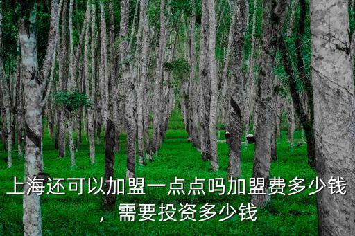 安徽上海奶茶加盟費(fèi)多少,加盟費(fèi)多少錢