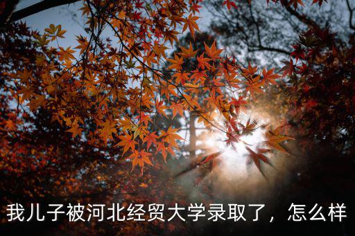 河北經貿錄取多少人,我兒子被河北經貿大學錄取了