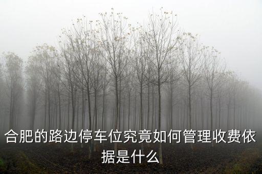 合肥路面停車位10個小時收費多少錢,收費依據是什么