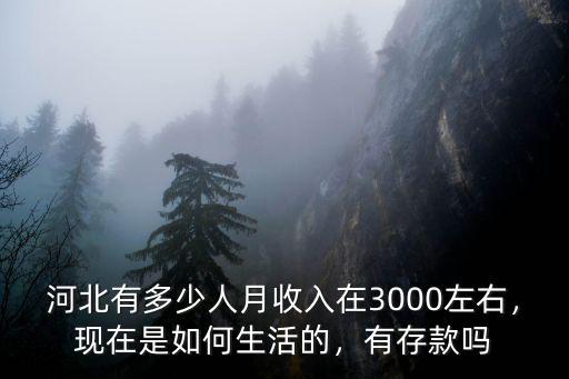 河北有多少人月收入在3000左右，現在是如何生活的，有存款嗎