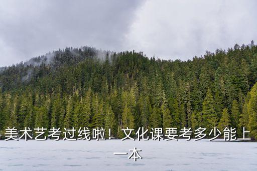 美術藝考過線啦！文化課要考多少能上一本