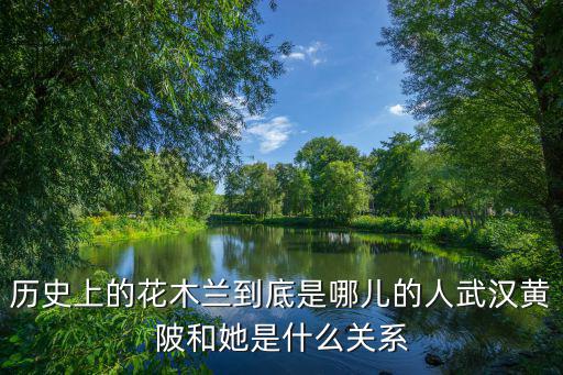 武漢黃陂木蘭小學(xué)怎么樣,武漢黃陂區(qū)的發(fā)展趨勢(shì)怎么樣