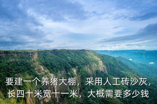 衡水建養(yǎng)豬大棚多少錢一平米,要建一個養(yǎng)豬大棚