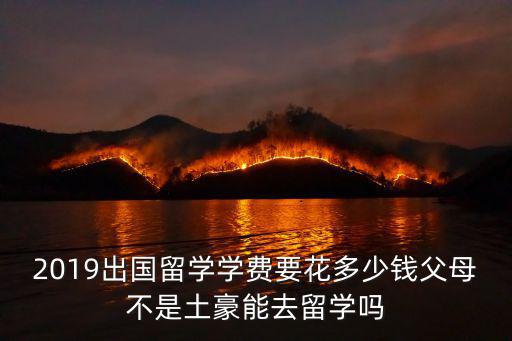 2019出國留學學費要花多少錢父母不是土豪能去留學嗎