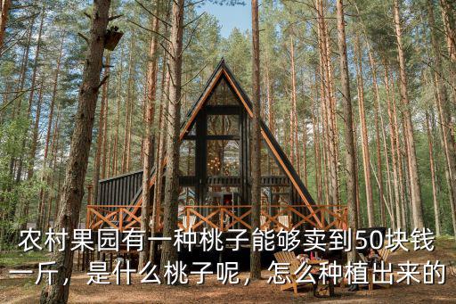 馬鞍山桃子多少錢一斤,現在的桃子多少錢一斤
