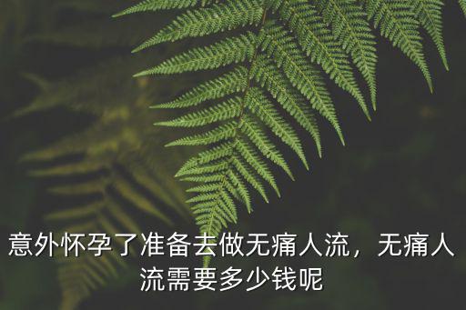 石家莊無痛人流手術(shù)費(fèi)要多少錢啊,無痛人流需要多少錢呢
