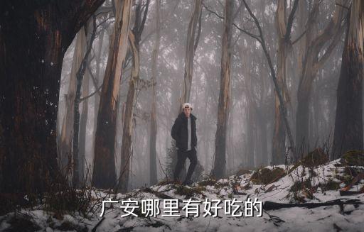 廣安哪里有好吃的