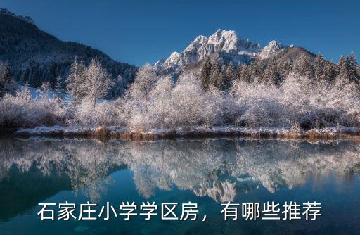 石家莊有多少小學(xué)生,50多歲普通石家莊家庭