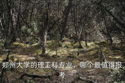 鄭州大學(xué)情報(bào)學(xué)專業(yè)研究生怎么樣,鄭州大學(xué)考研怎么樣
