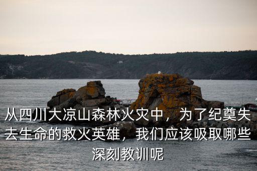 四川救火英雄王佛軍是哪里人,四川救火英雄犧牲