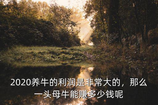 2020養牛的利潤是非常大的，那么一頭母牛能賺多少錢呢