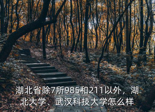 武漢科技大學潘莉怎么樣,武漢科技大學怎么樣