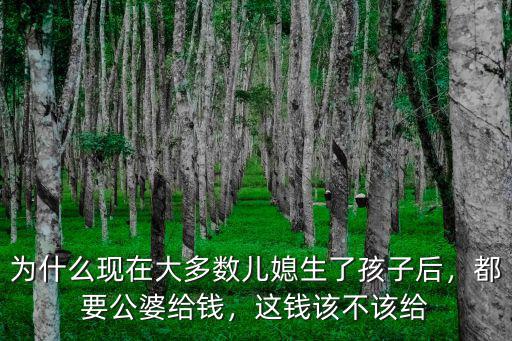 為什么現在大多數兒媳生了孩子后，都要公婆給錢，這錢該不該給