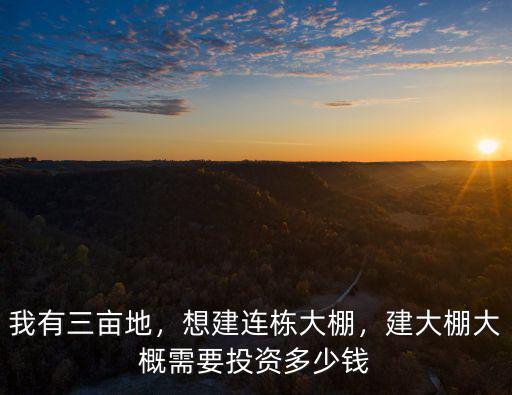 滁州新型溫室連棟大棚多少錢,建大棚大概需要投資多少錢