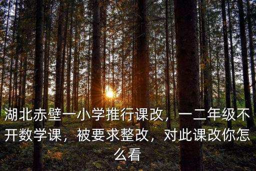 湖北課改網怎么開課題,對此課改你怎么看