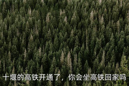 十堰的高鐵開通了，你會坐高鐵回家嗎