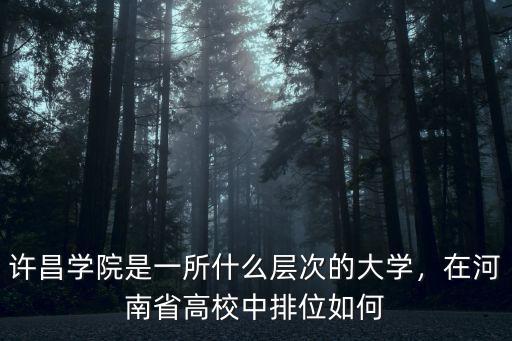 許昌學(xué)院是一所什么層次的大學(xué)，在河南省高校中排位如何