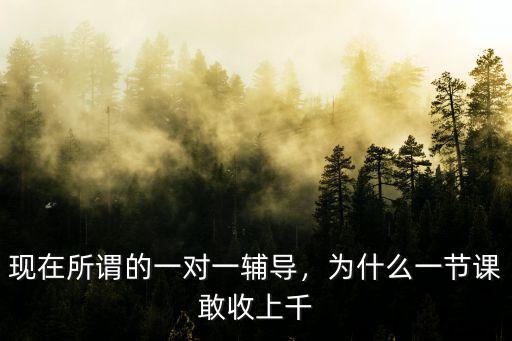 邢臺市一對一輔導多少一節課,現在所謂的一對一輔導