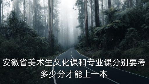 安徽省美術(shù)生文化課和專(zhuān)業(yè)課分別要考多少分才能上一本