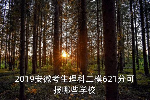 2019安徽考生理科二模621分可報哪些學校