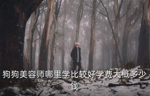 狗狗美容師哪里學比較好學費大概多少錢