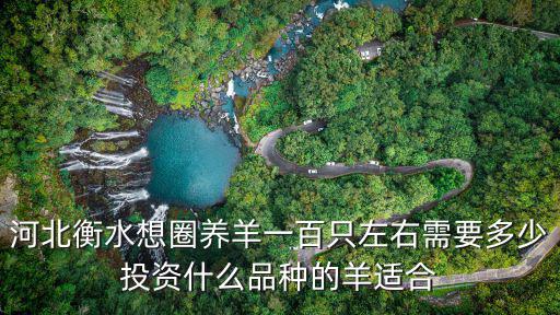 河北二百只羊賣多少錢,羊苗多少錢一只