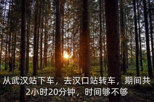 12點怎么從武漢站到漢口站,從武漢站下車