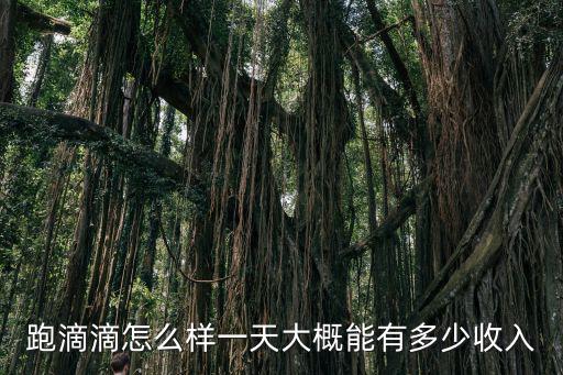 跑滴滴怎么樣一天大概能有多少收入