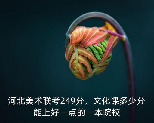 河北美術聯考多少,河北美術聯考249分