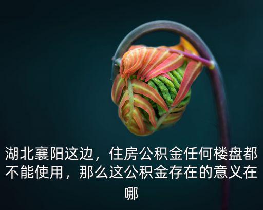 湖北襄陽這邊，住房公積金任何樓盤都不能使用，那么這公積金存在的意義在哪