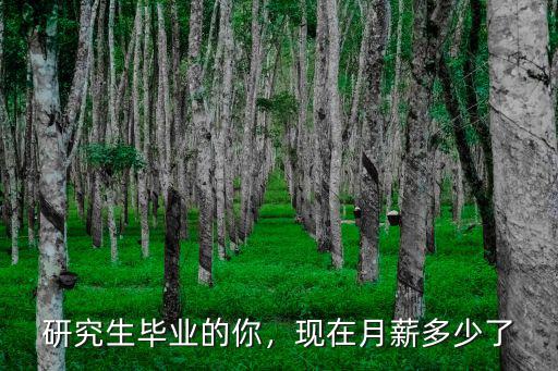 研究生畢業的你，現在月薪多少了