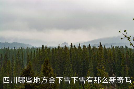四川都是哪里下雪,四川哪些地方會下雪