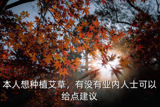 本人想種植艾草，有沒有業(yè)內(nèi)人士可以給點建議