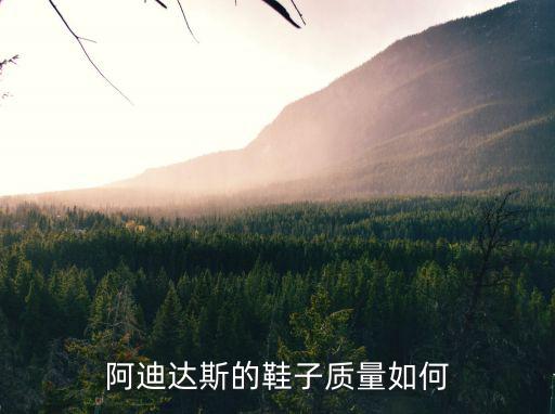 阿迪達斯的鞋子質量如何