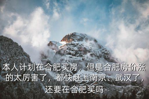 合肥斷供房價多少,但是合肥房價漲的太厲害了