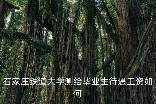 石家莊中國中鐵工資多少,中國中鐵工資待遇怎么樣