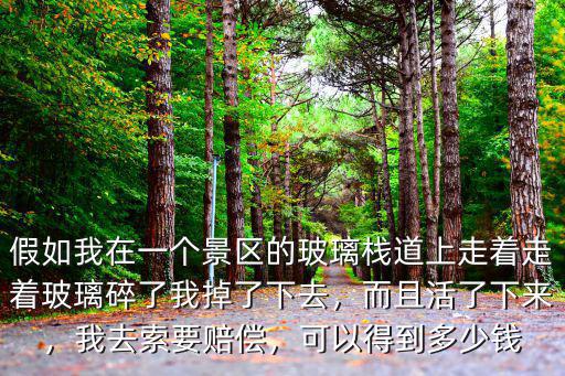 假如我在一個景區的玻璃棧道上走著走著玻璃碎了我掉了下去，而且活了下來，我去索要賠償，可以得到多少錢