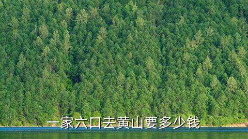 一家六口去黃山要多少錢