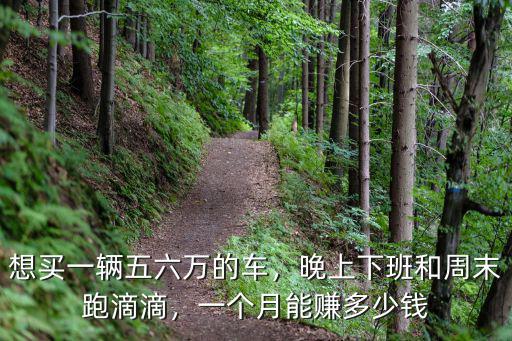 想買一輛五六萬的車，晚上下班和周末跑滴滴，一個月能賺多少錢