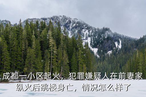 成都一小區起火，犯罪嫌疑人在前妻家縱火后跳樓身亡，情況怎么樣了