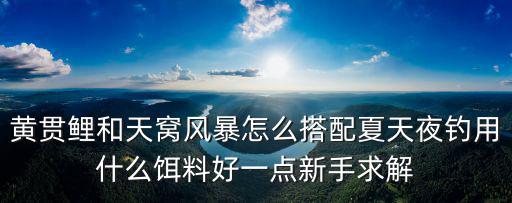 武漢天元天窩風暴餌料怎么開餌,黃貫鯉和天窩風暴怎么搭配