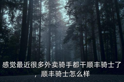 漯河順豐騎士怎么樣,順豐騎士怎么樣