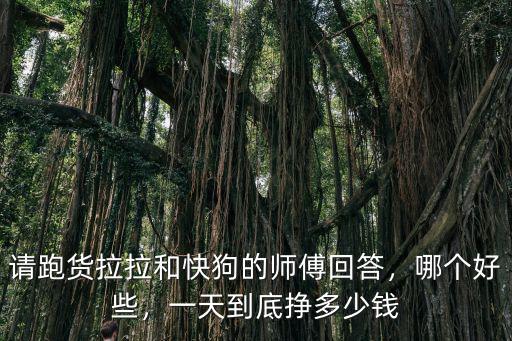 周口貨拉拉單子怎么樣,怎樣才能搶到貨拉拉單子