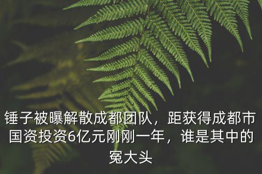 成都錘子科技在哪里,錘子科技遷到成都