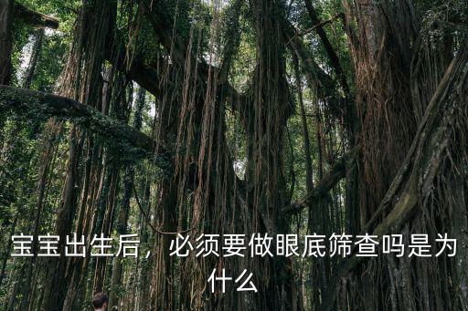 成都哪里能做新生兒眼底篩查,必須要做眼底篩查嗎