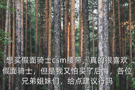 想買假面騎士csm腰帶，真的很喜歡假面騎士，但是我又怕買了后悔，各位兄弟姐妹們，給點建議行嗎
